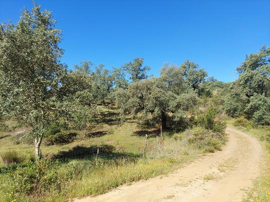 Finca rústica en Sevilla