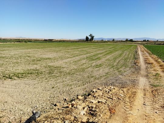 Finca rústica en Caceres