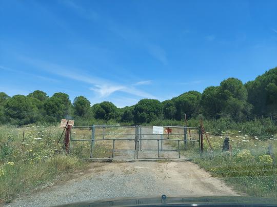 Finca rústica en Sevilla