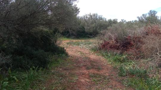 Finca rústica en Illes Balears
