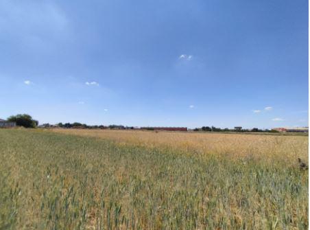 Finca rústica en Toledo