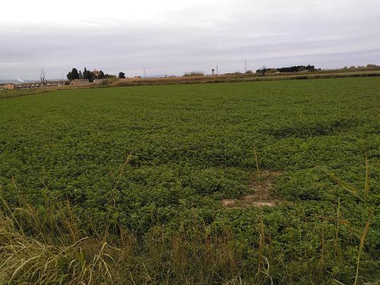 Finca rústica en Zaragoza