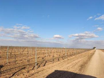 Finca rústica en Ciudad Real