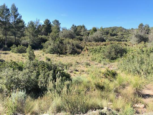 Finca rústica en Valencia