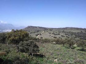 Finca rustica en Cordoba