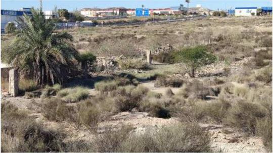 Solar en Murcia