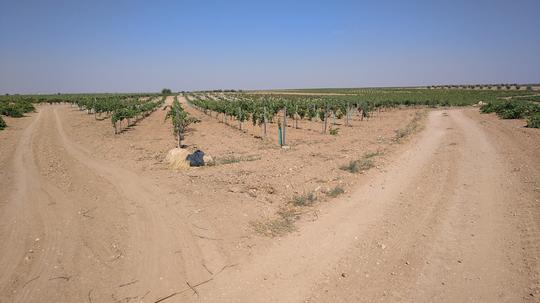 Finca rústica en Toledo