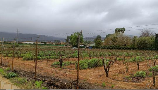 Finca rústica en Valencia