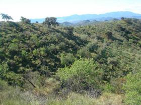 Finca rustica en Malaga