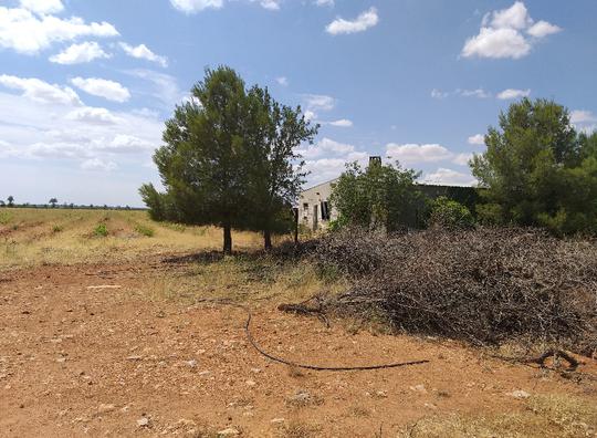 Finca rústica en Albacete