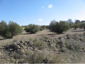 Finca rustica en Cuenca