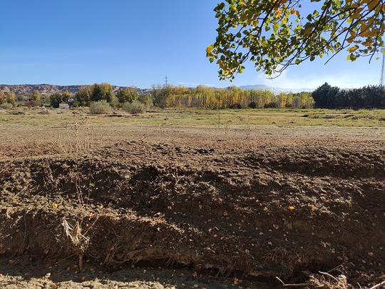 Finca rústica en Granada