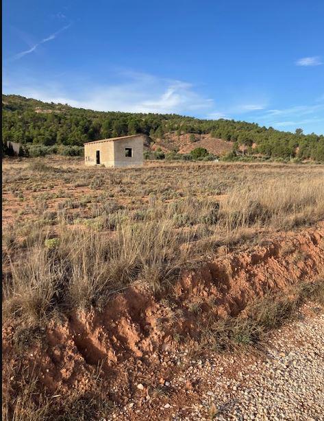 Finca rústica en Alicante/Alacant