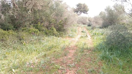 Finca rústica en Illes Balears