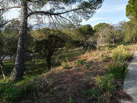 Solar en Girona