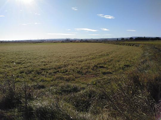 Finca rústica en Zaragoza