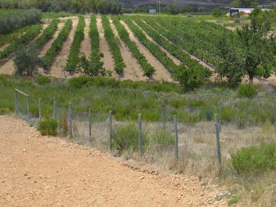 Finca rústica en La Rioja