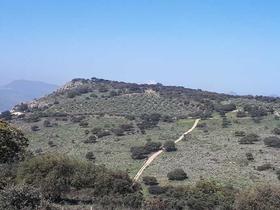 Finca rustica en Cordoba