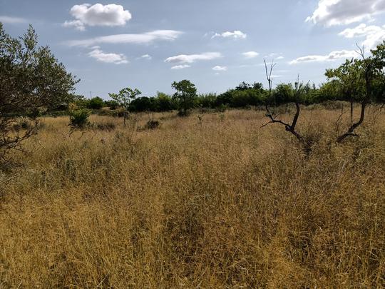 Finca rústica en Valencia