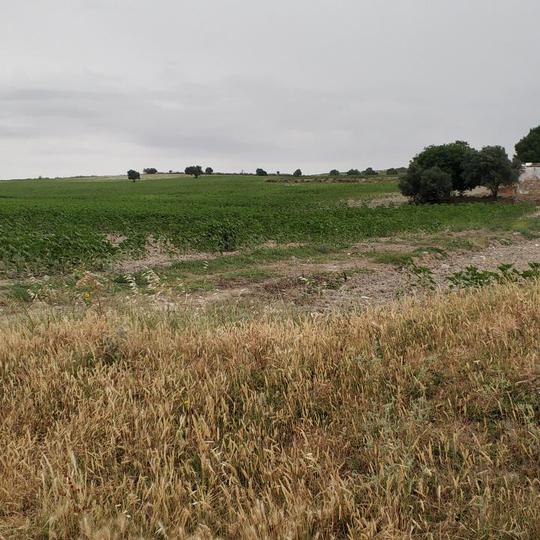 Finca rústica en Cadiz