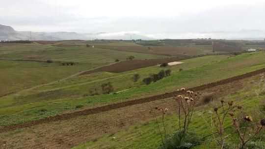 Finca rústica en Malaga