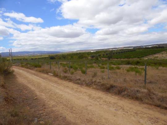 Subasta de Finca rústica en VILLAR DE ARNEDO (EL) (La ...