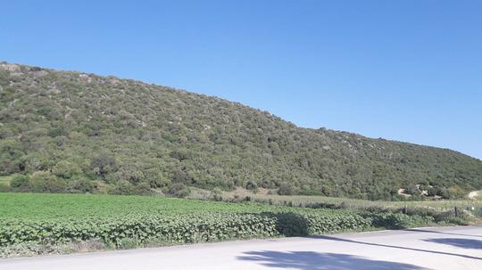 Finca rústica en Cadiz