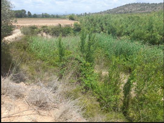 Finca rústica en Valencia/Valencia