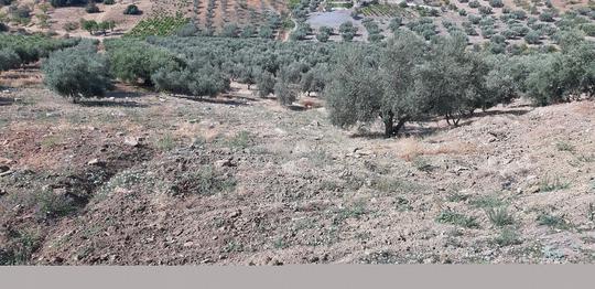 Finca rústica en Malaga