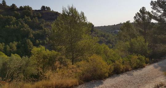 Finca rústica en Alicante