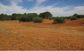 Finca rustica en Cuenca