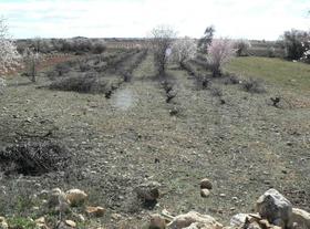 Finca rustica en Toledo