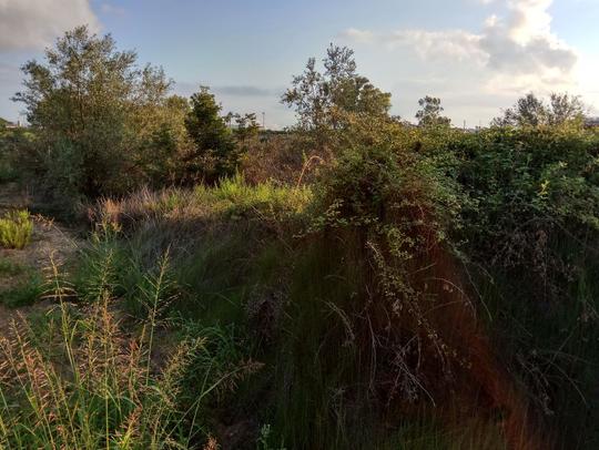 Finca rústica en Valencia