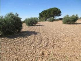 Finca rustica en Cuenca