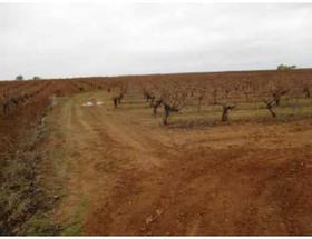 Finca rustica en Cuenca