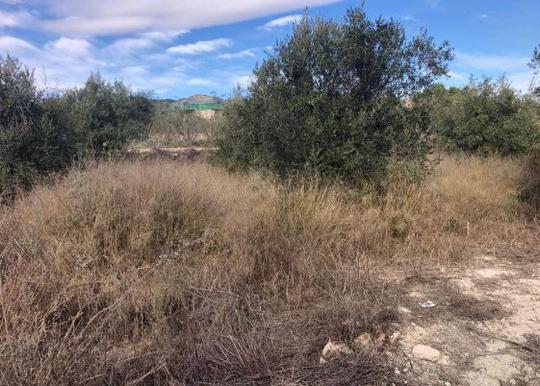 Finca rústica en Alicante