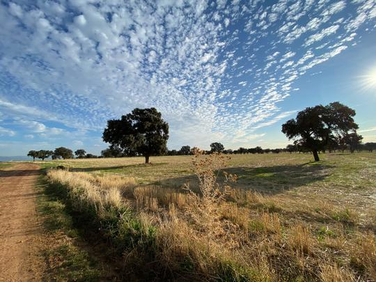 Finca rústica en Toledo