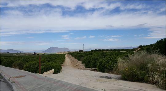 Finca rústica en Alicante