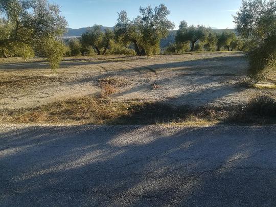 Finca rústica en Jaen