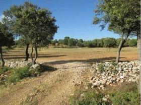 Finca rustica en Guadalajara