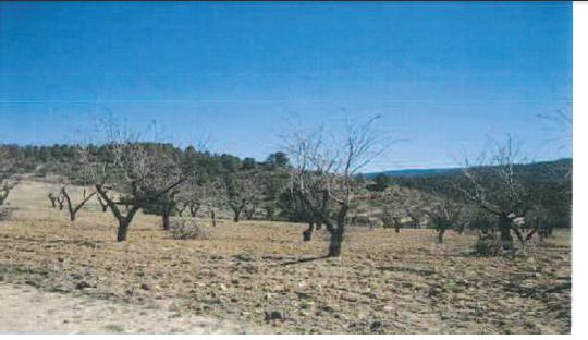 Finca rústica en Albacete