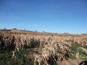 Finca rustica en Lleida