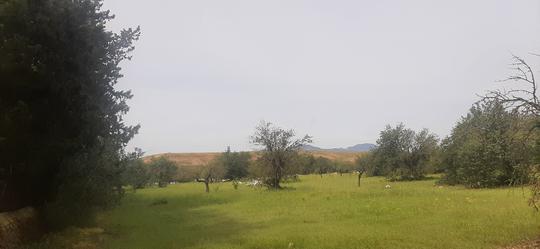 Finca rústica en Illes Balears