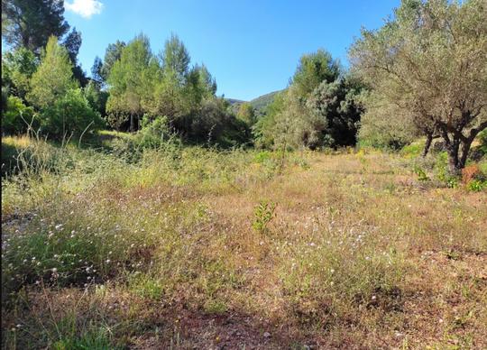 Finca rústica en Alicante