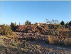 Finca rústica en Murcia