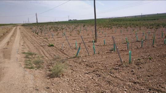 Finca rústica en Toledo