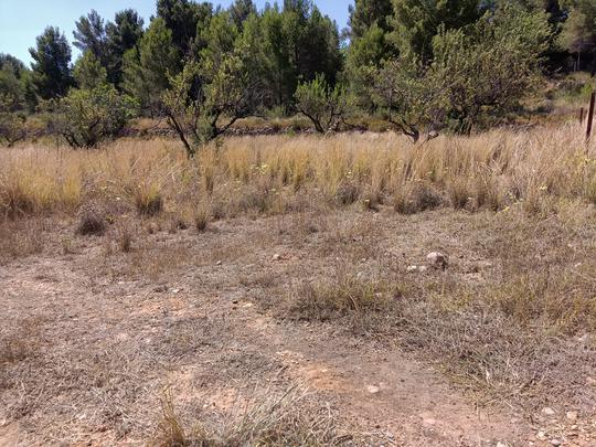 Finca rústica en Valencia