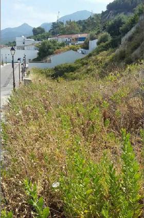 Solar en Cadiz