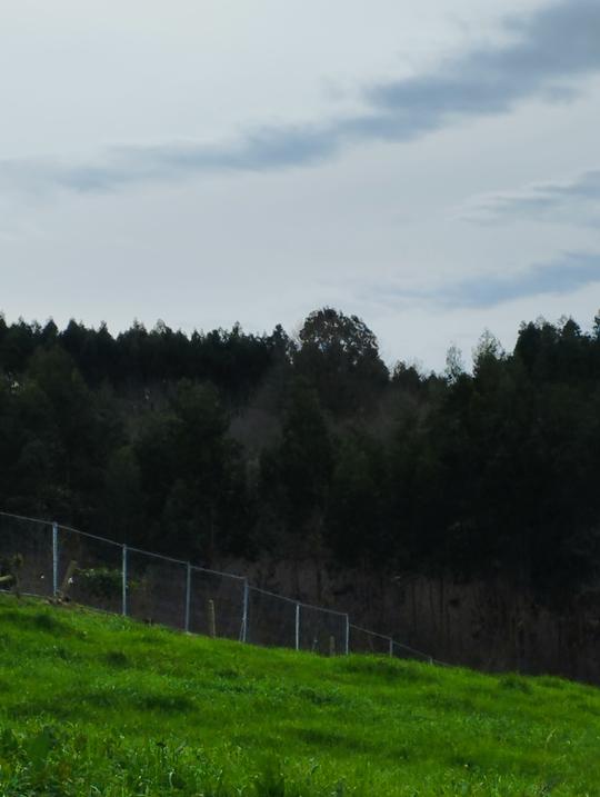 Finca rústica en Cantabria