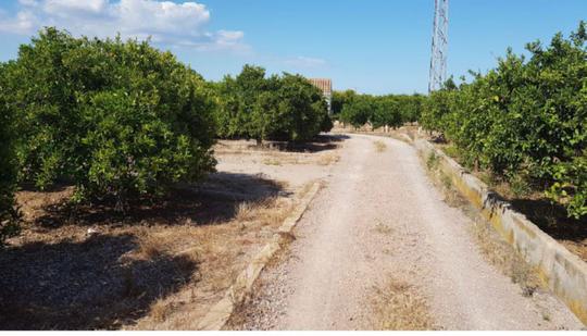 Finca rústica en Castellon